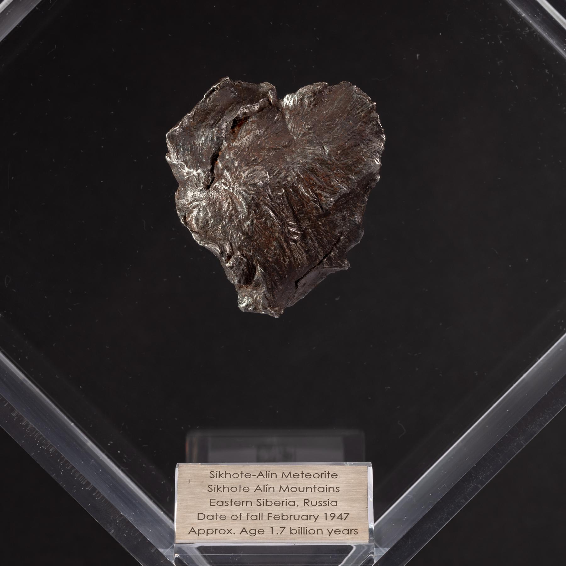 Organic Modern Sikhote Alin Meteorite from Siberia, Russia in a Custom Acrylic Display