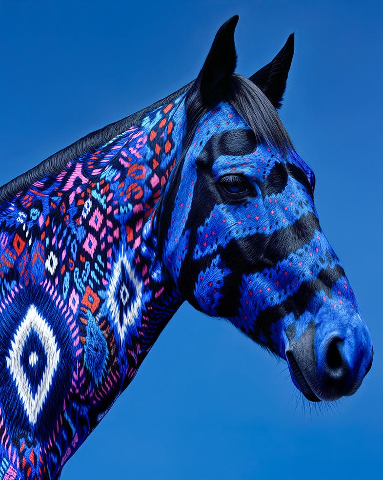 Animal Print Sila Sehrazat Yucel - Velours bleu