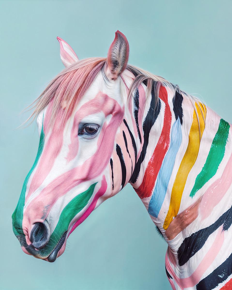 Sila Sehrazat Yucel Animal Print - Lucky