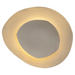 Silk #14 Wall Light by Margaux Leycuras