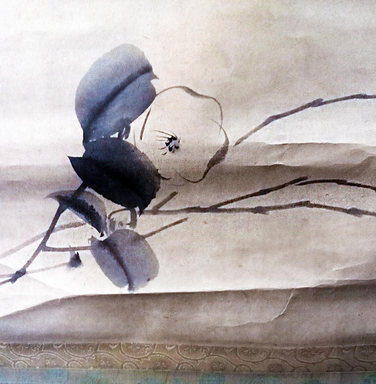 Silk Scroll Painting by Matsumura Keibun, 18th Century For Sale 4