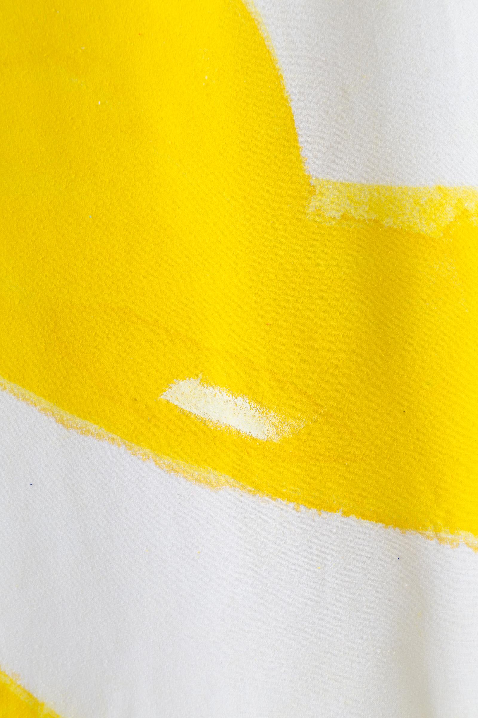 XXIe siècle et contemporain Tapis de couloir en tissu jaune Amoeba motif rideaux de soie peint à la main à teinte unique en vente
