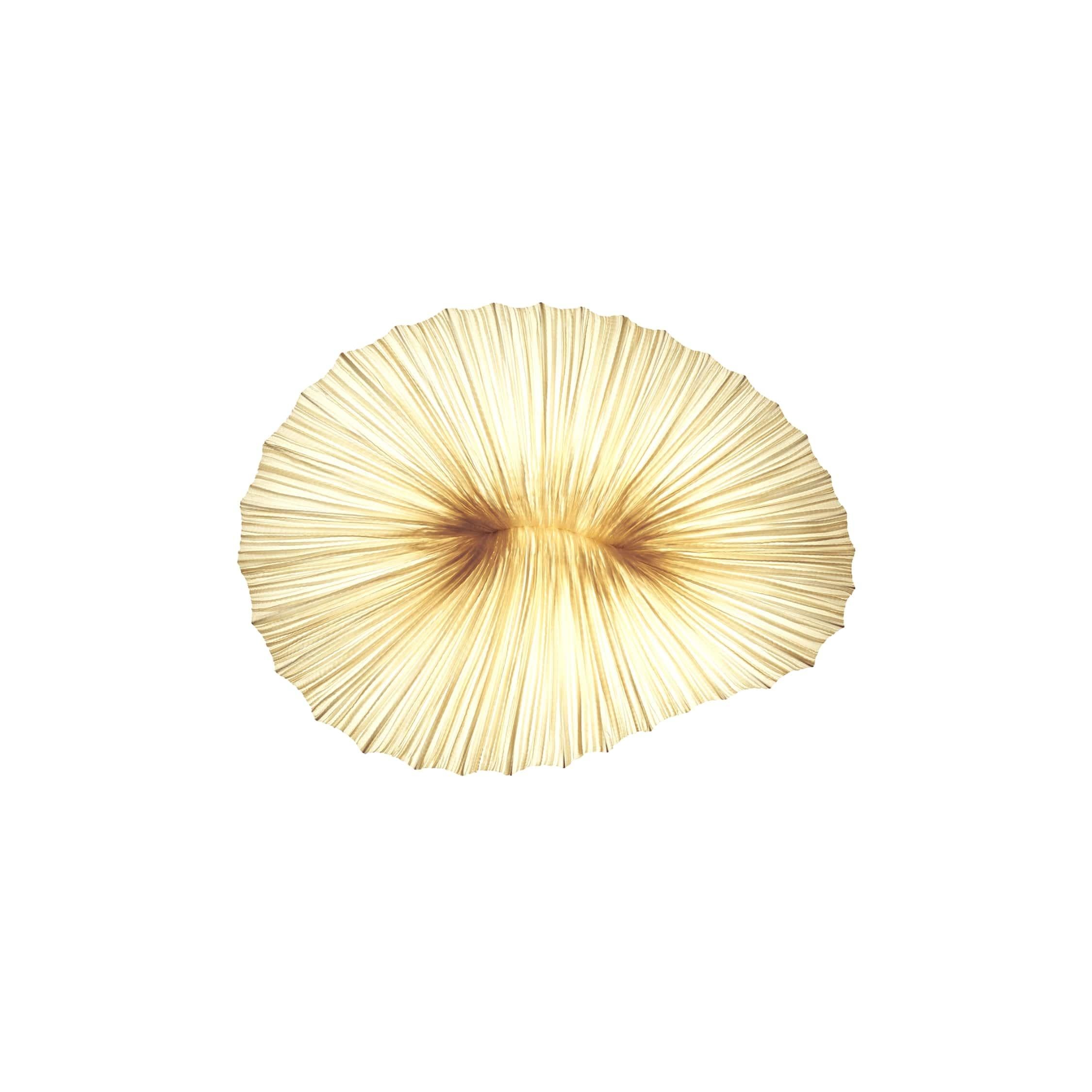 Lampada da parete e da soffitto in seta e metallo 