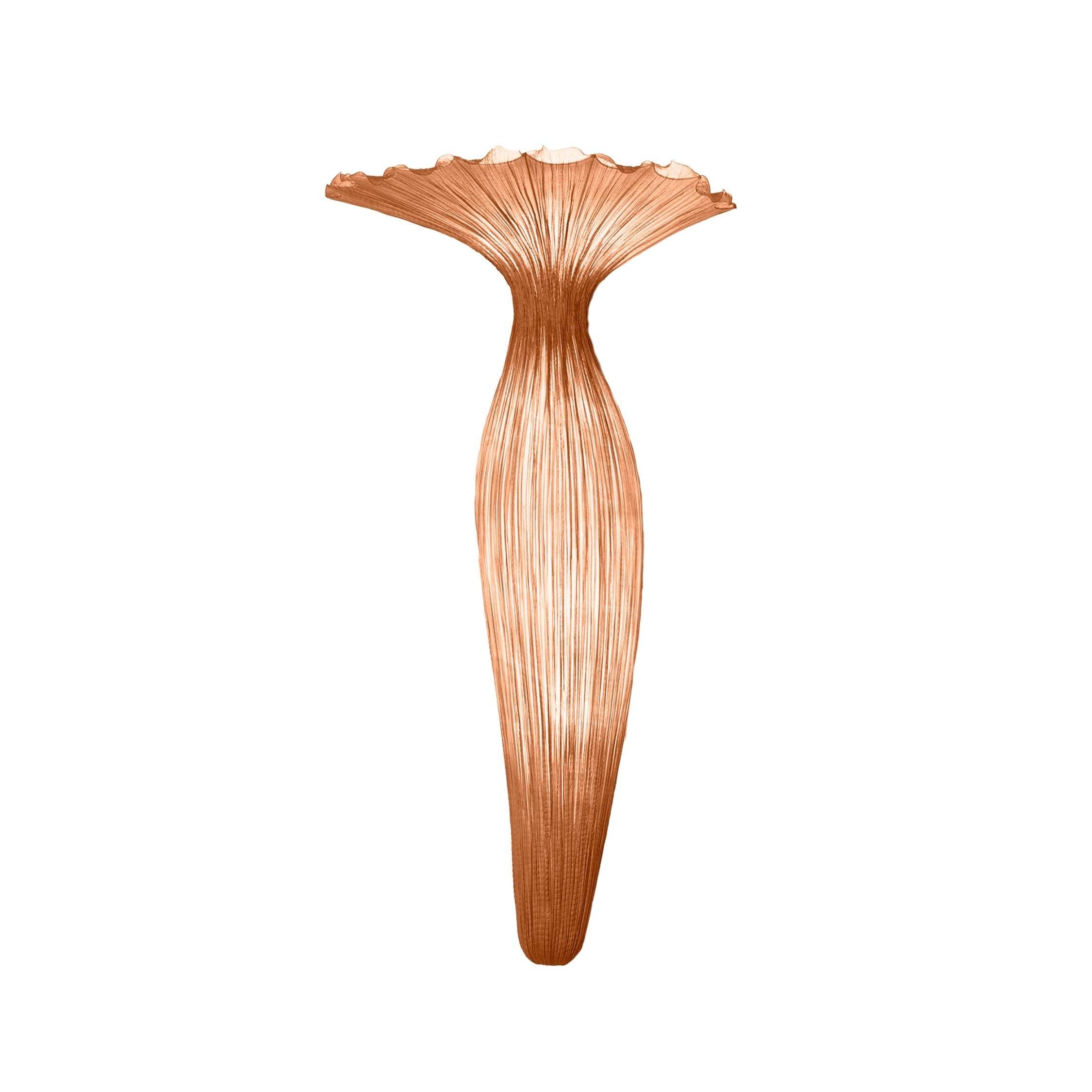 Contemporary Silk over Metal 