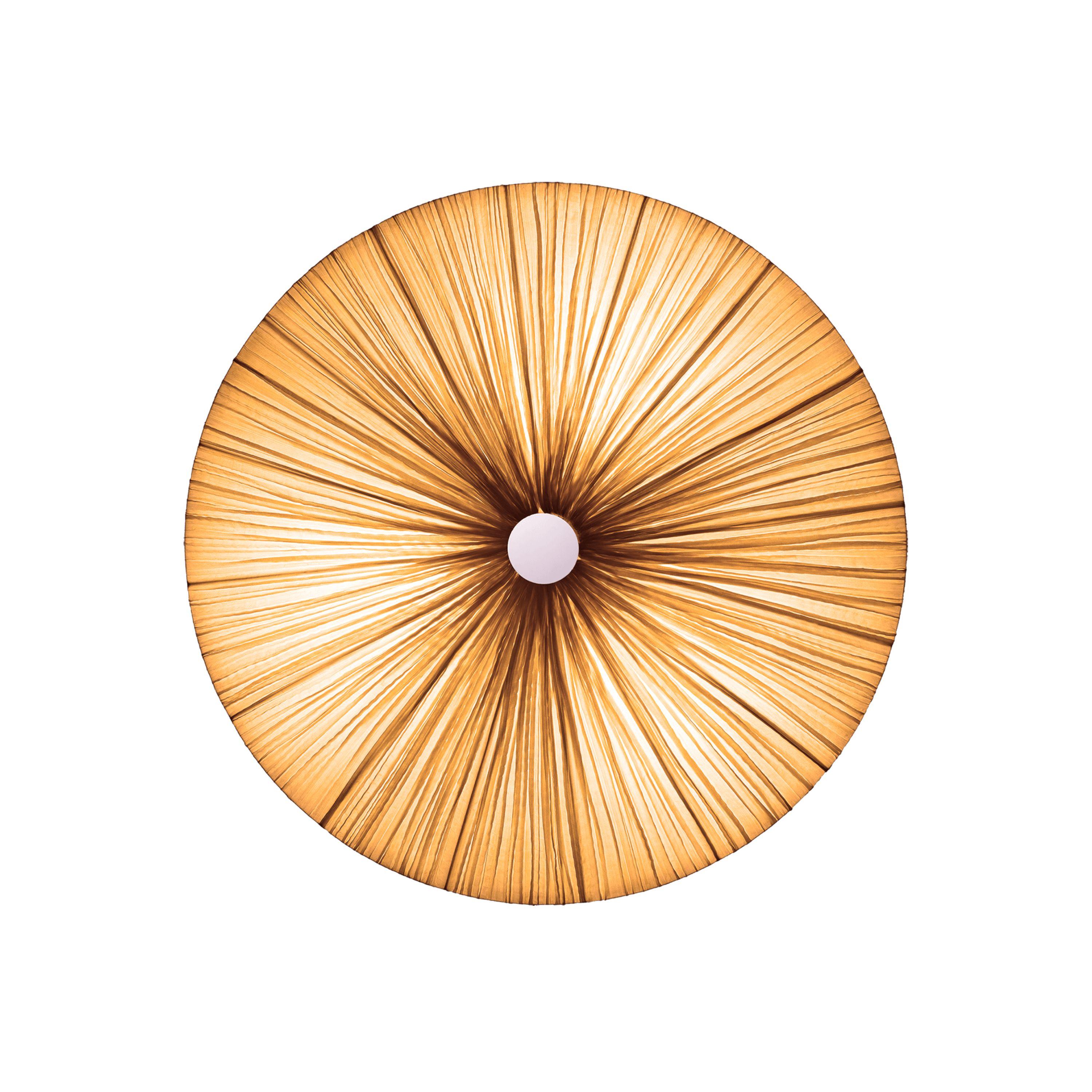 Luce da parete e soffitto 