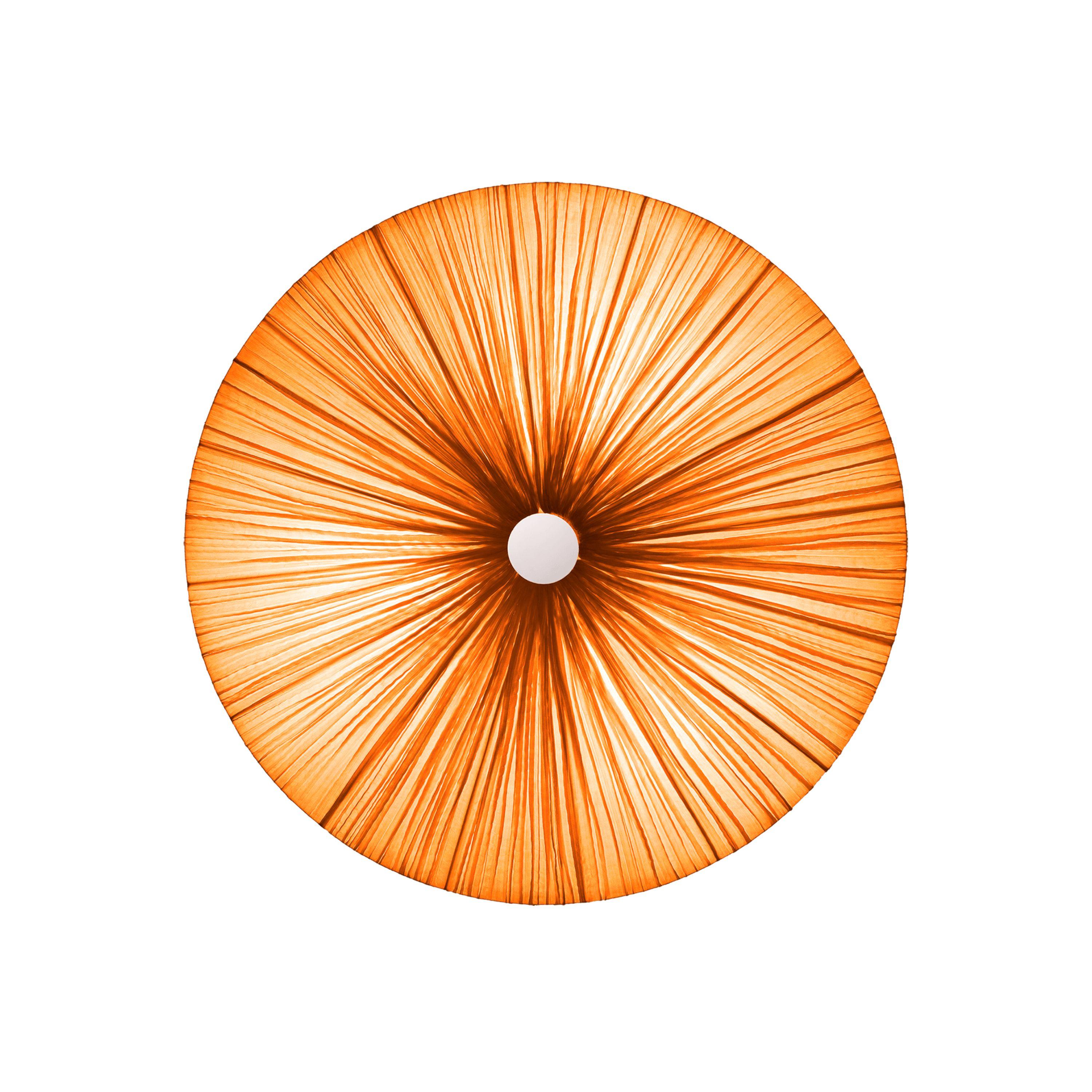 Luce da parete e soffitto 