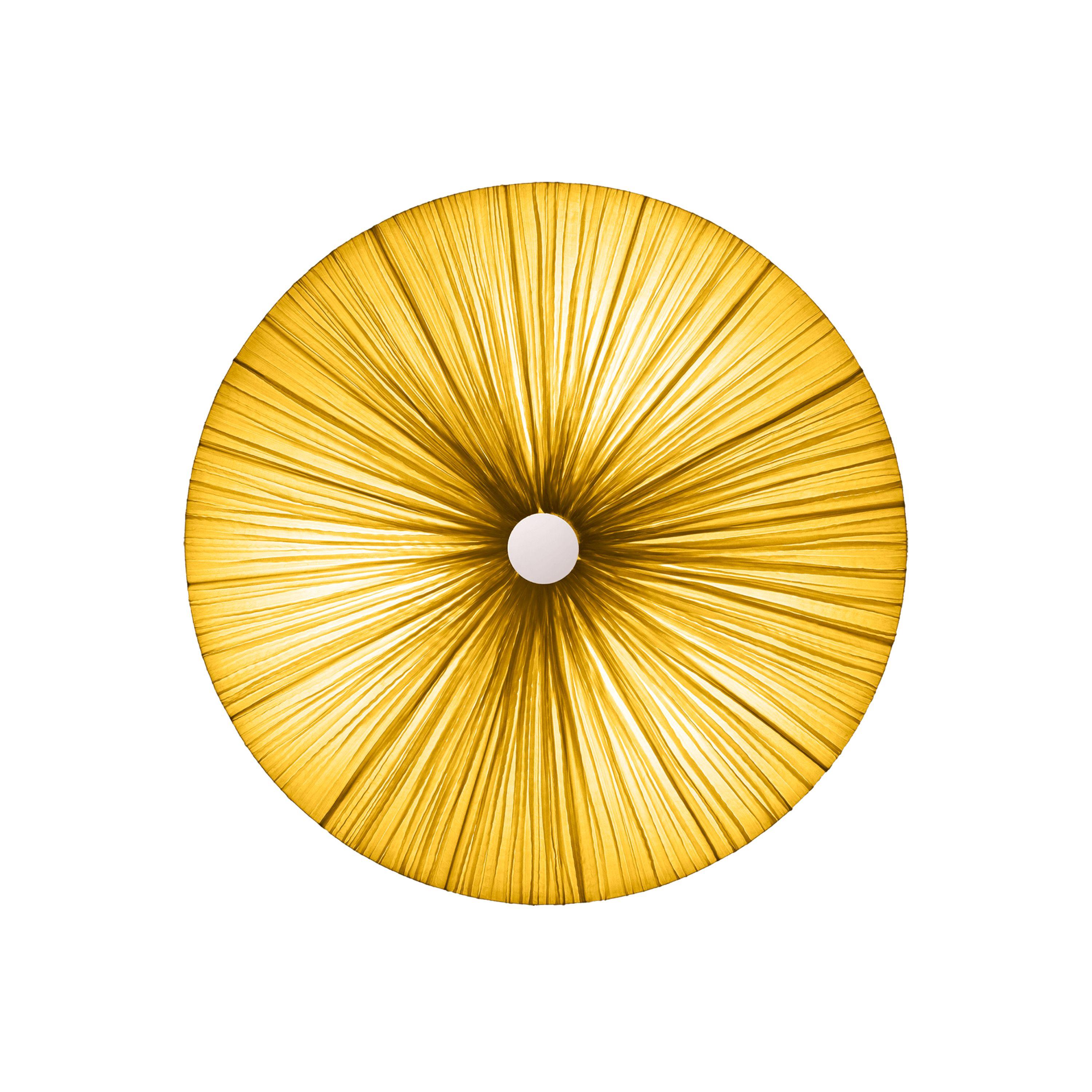 Luce da parete e soffitto 
