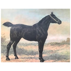Silk Print from a Frisian Horse