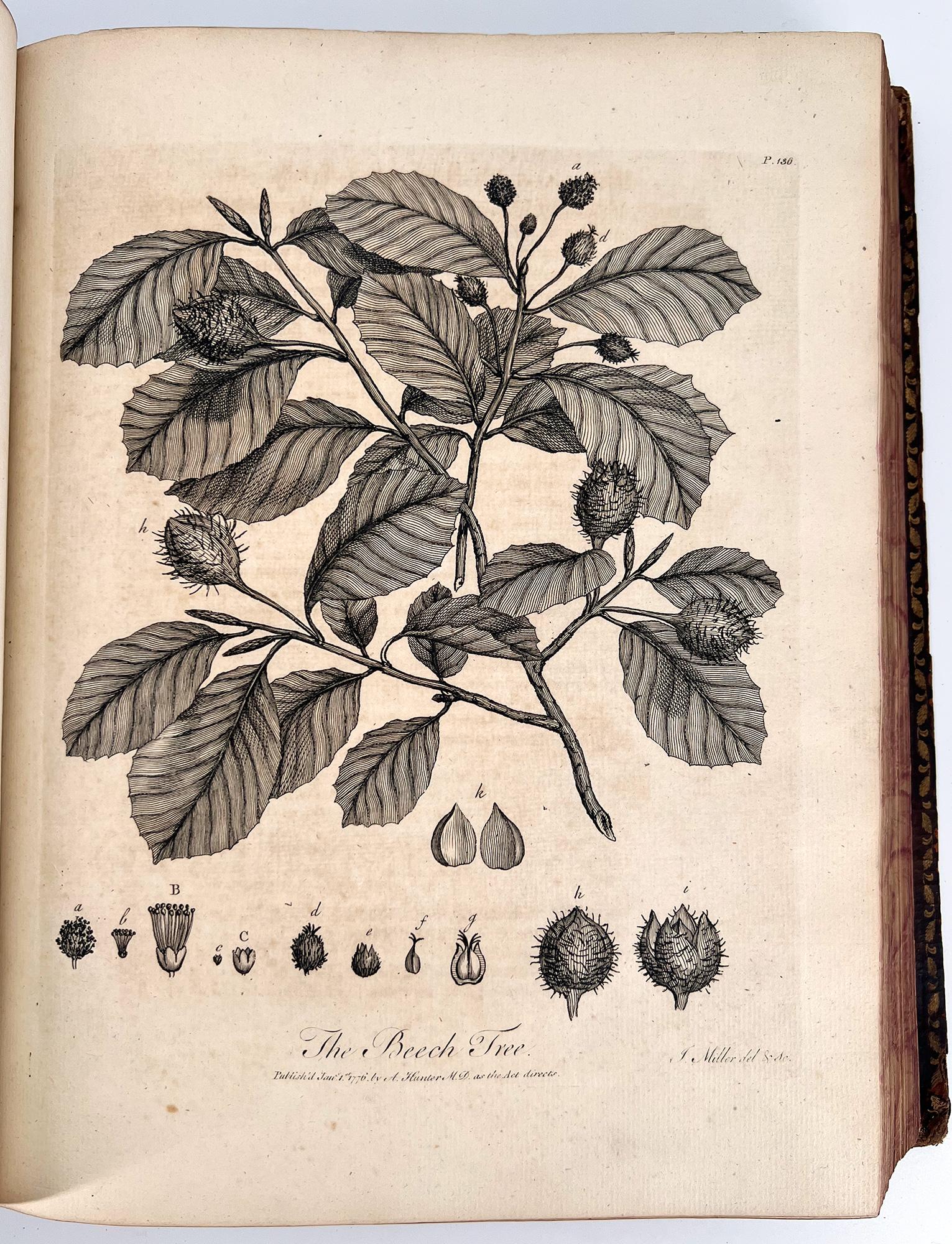 Silva: or a Discourse of Forest-Trees by John Evelyn For Sale 5