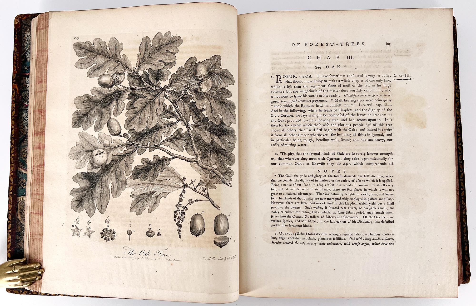 English Silva: or a Discourse of Forest-Trees by John Evelyn For Sale
