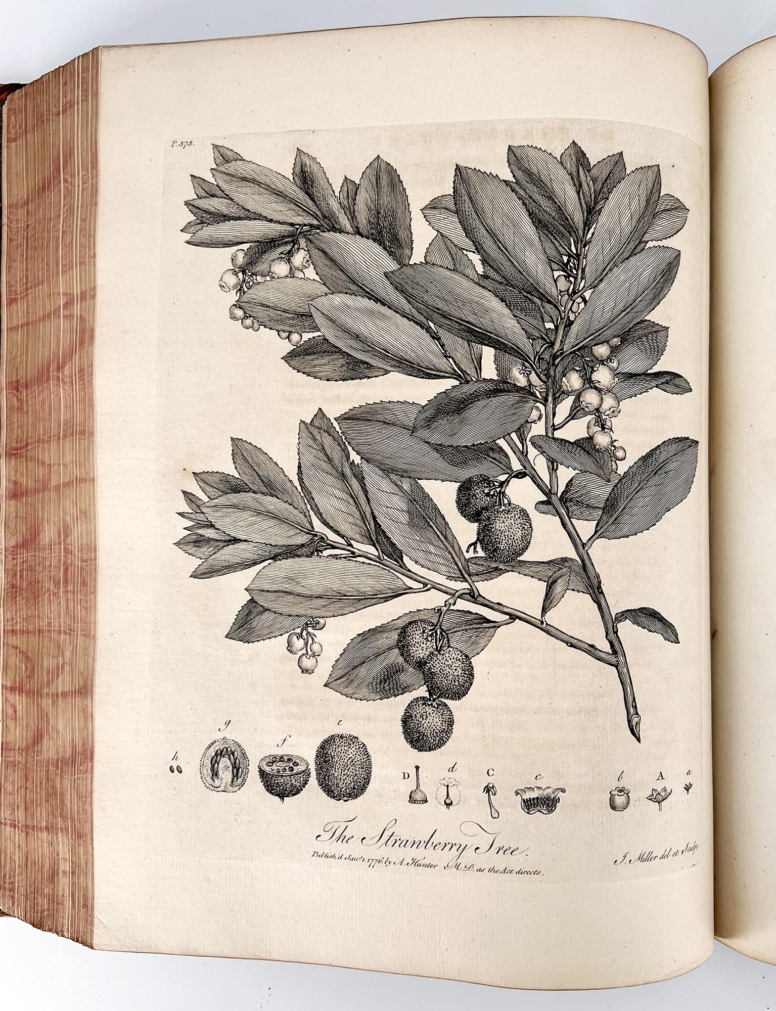 Silva: or a Discourse of Forest-Trees by John Evelyn In Good Condition For Sale In Middletown, NY