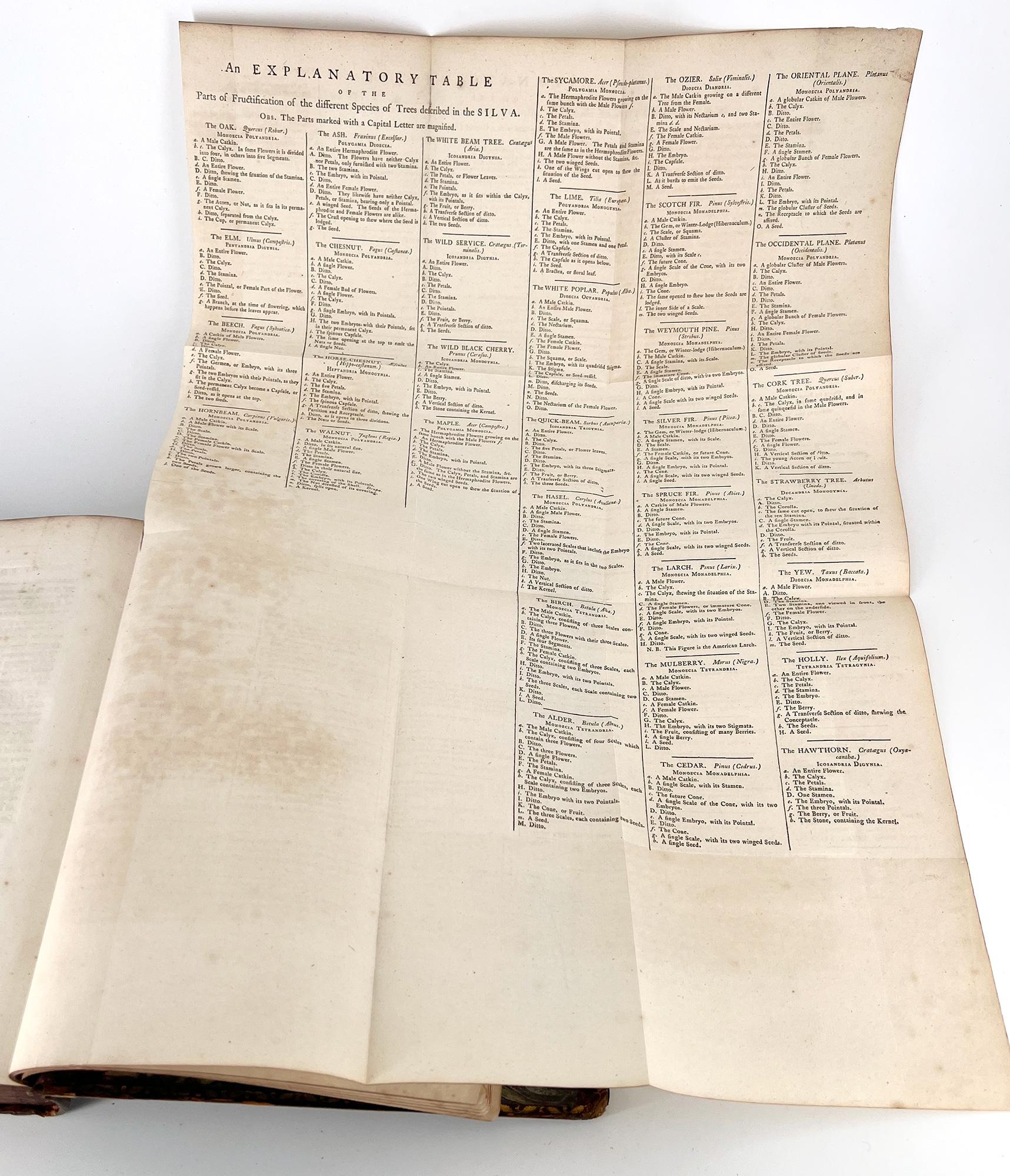 18th Century Silva: or a Discourse of Forest-Trees by John Evelyn For Sale