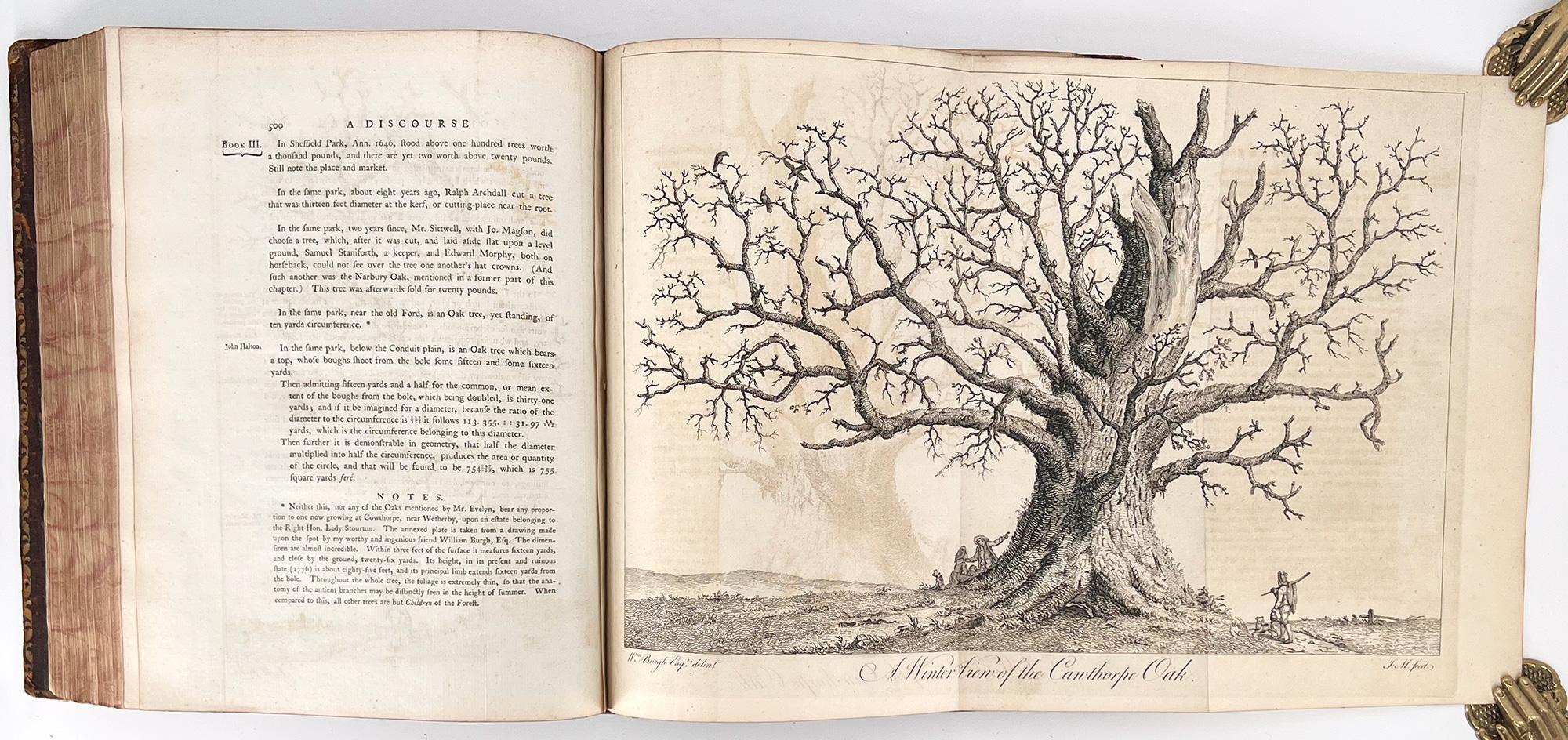 Leather Silva: or a Discourse of Forest-Trees by John Evelyn For Sale