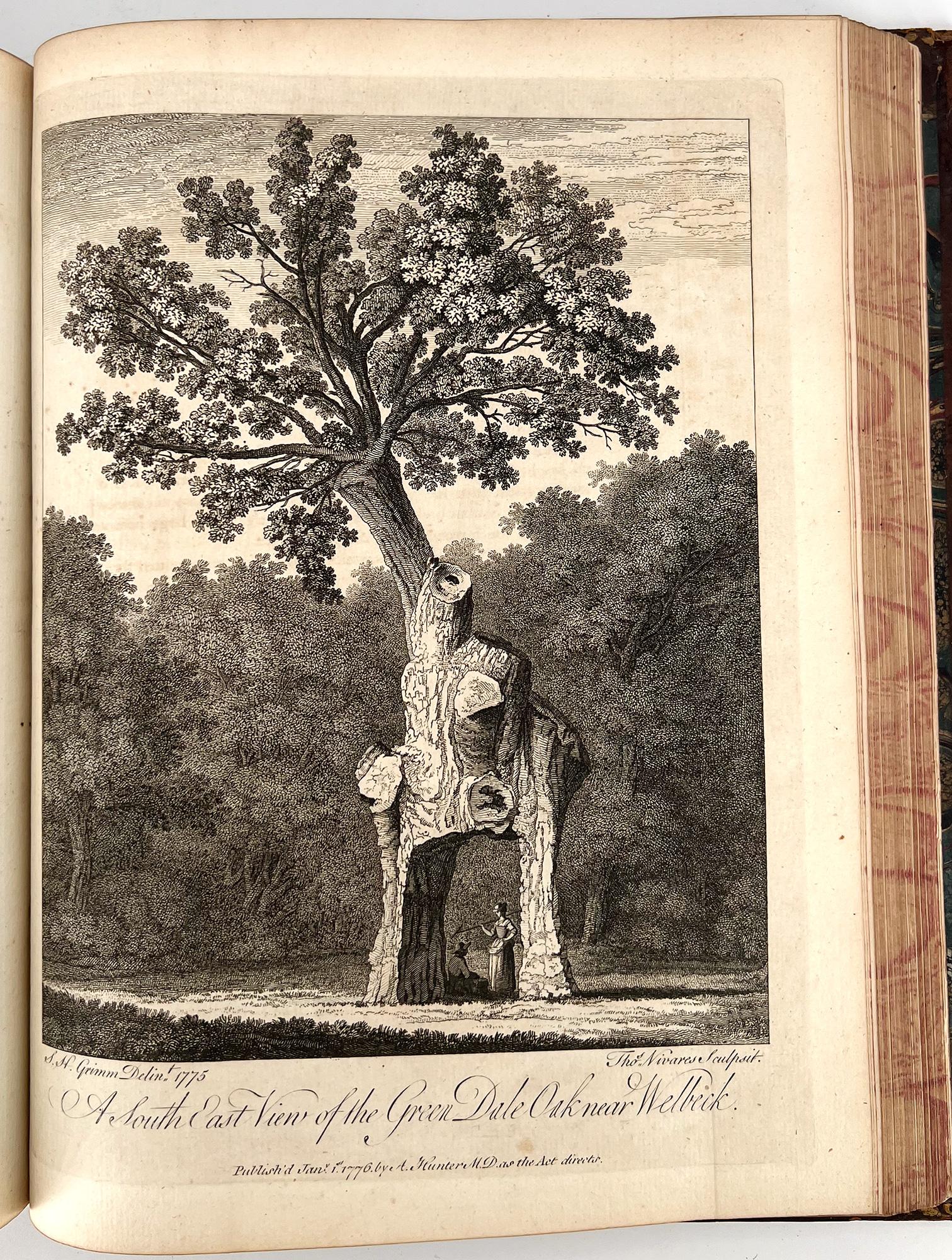 Silva: or a Discourse of Forest-Trees by John Evelyn For Sale 1