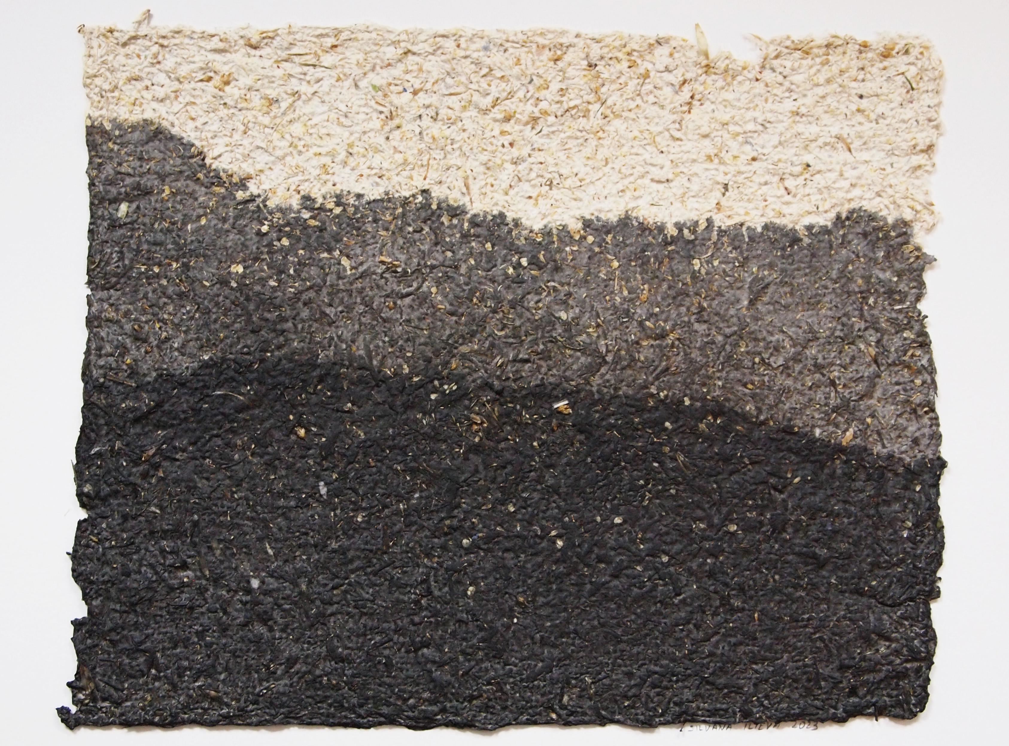 Abstract Handmade Paper Artwork with Plants, Black Earth Horizon Texture - Mixed Media Art by Silvana Ilieva