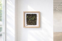 Zeitgenössisches handgeschöpftes Papierkunstwerk mit Farn und Blumen, gerahmte Nature Art