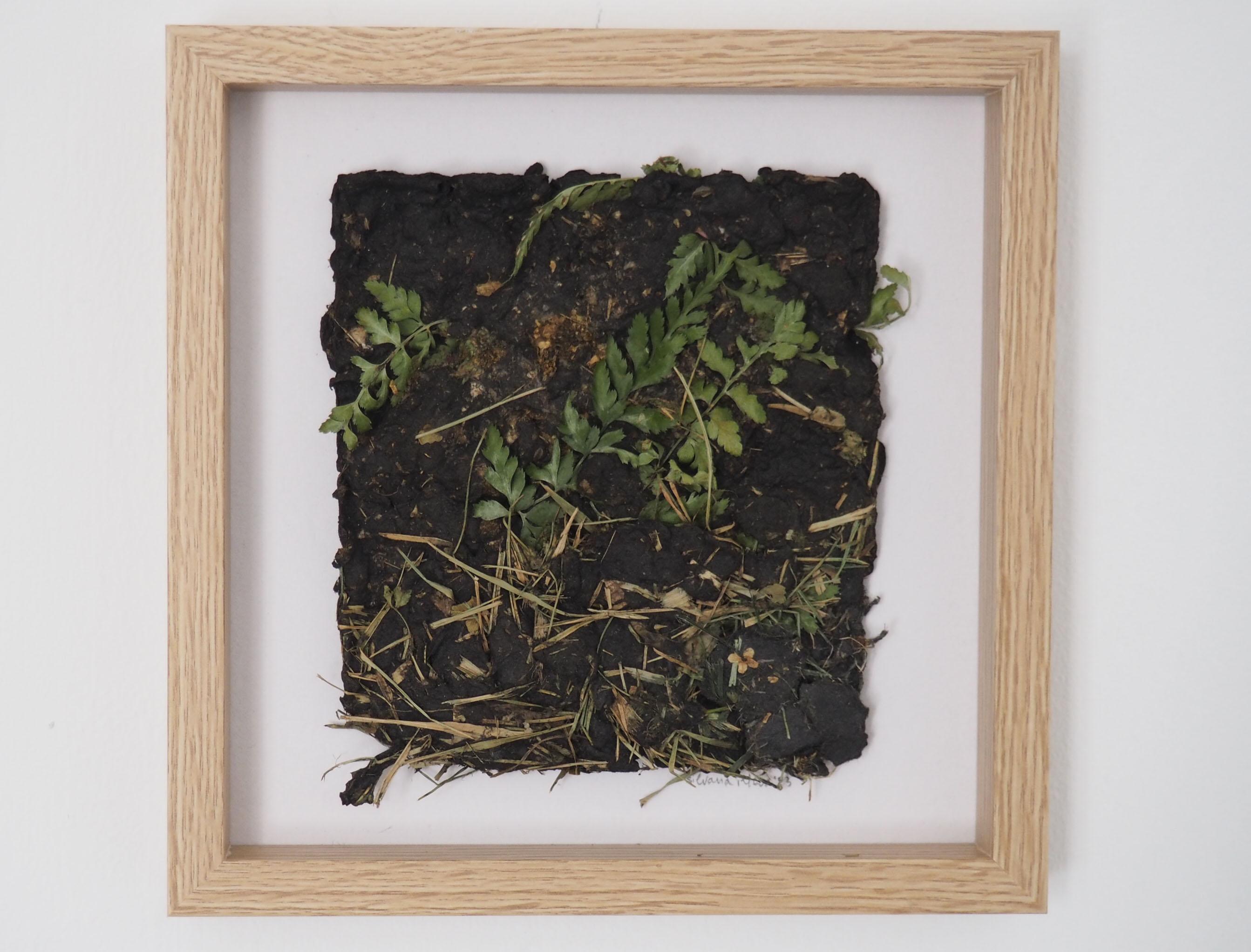 Contemporary Handmade Paper Artwork with Fern and Flowers, Framed Nature Art - Mixed Media Art by Silvana Ilieva
