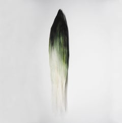 Scultura da parete in fibra di canapa astratta verde e bianca