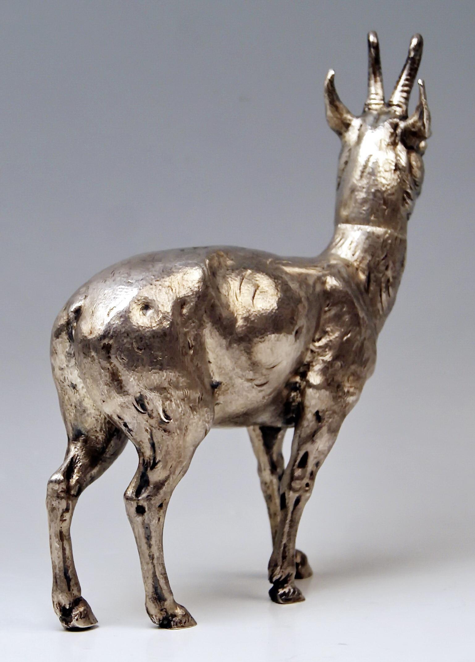 Gorgeous animal figurine made of silver 800: Chamois.
Made in Germany / Hanau 1880-1885
Specifications:
Lifelike animal's figurine depicting a chamois / the animal's head is removable. The details are stunningly worked so that this lifelike