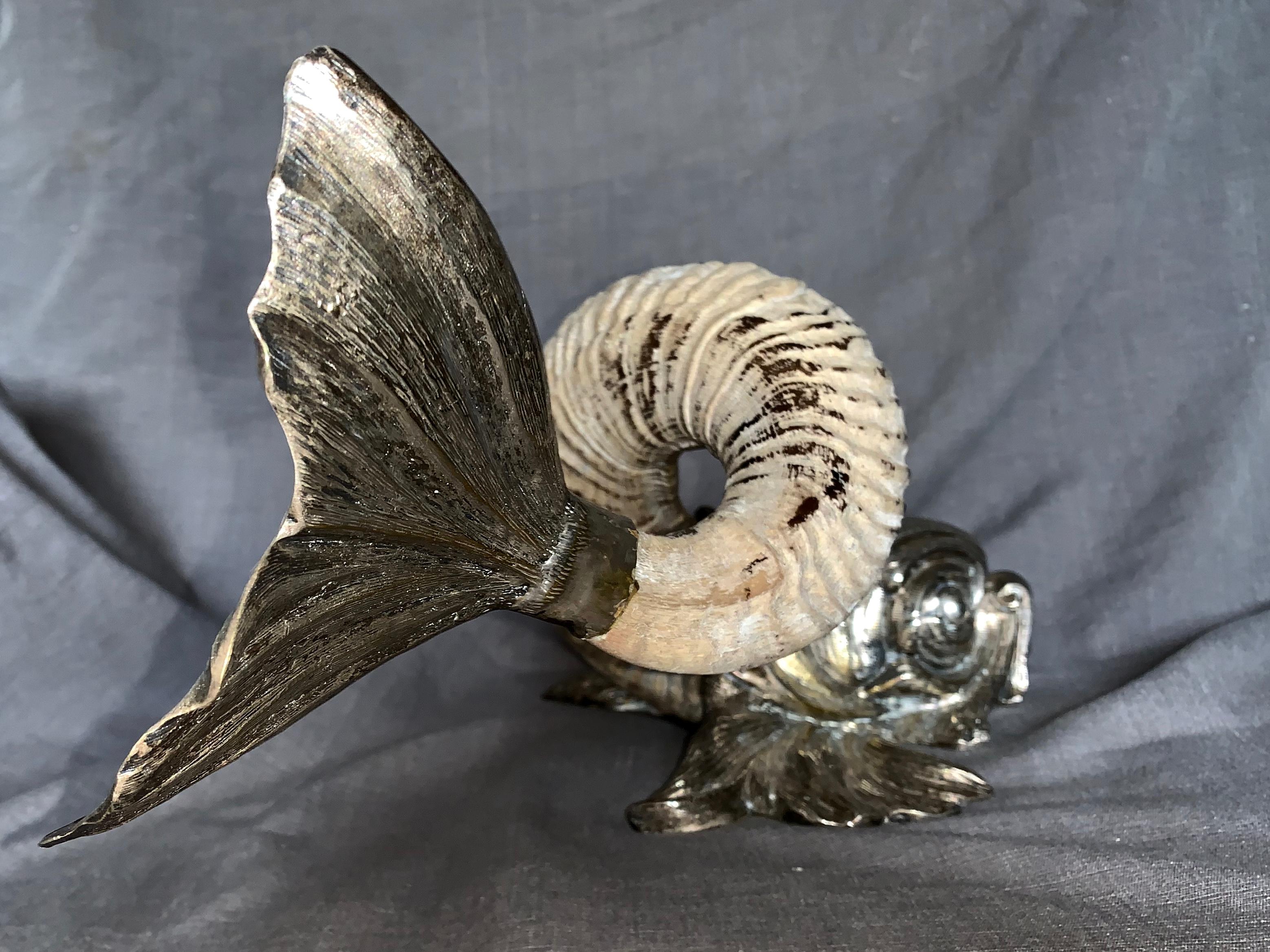 dolphin with a horn
