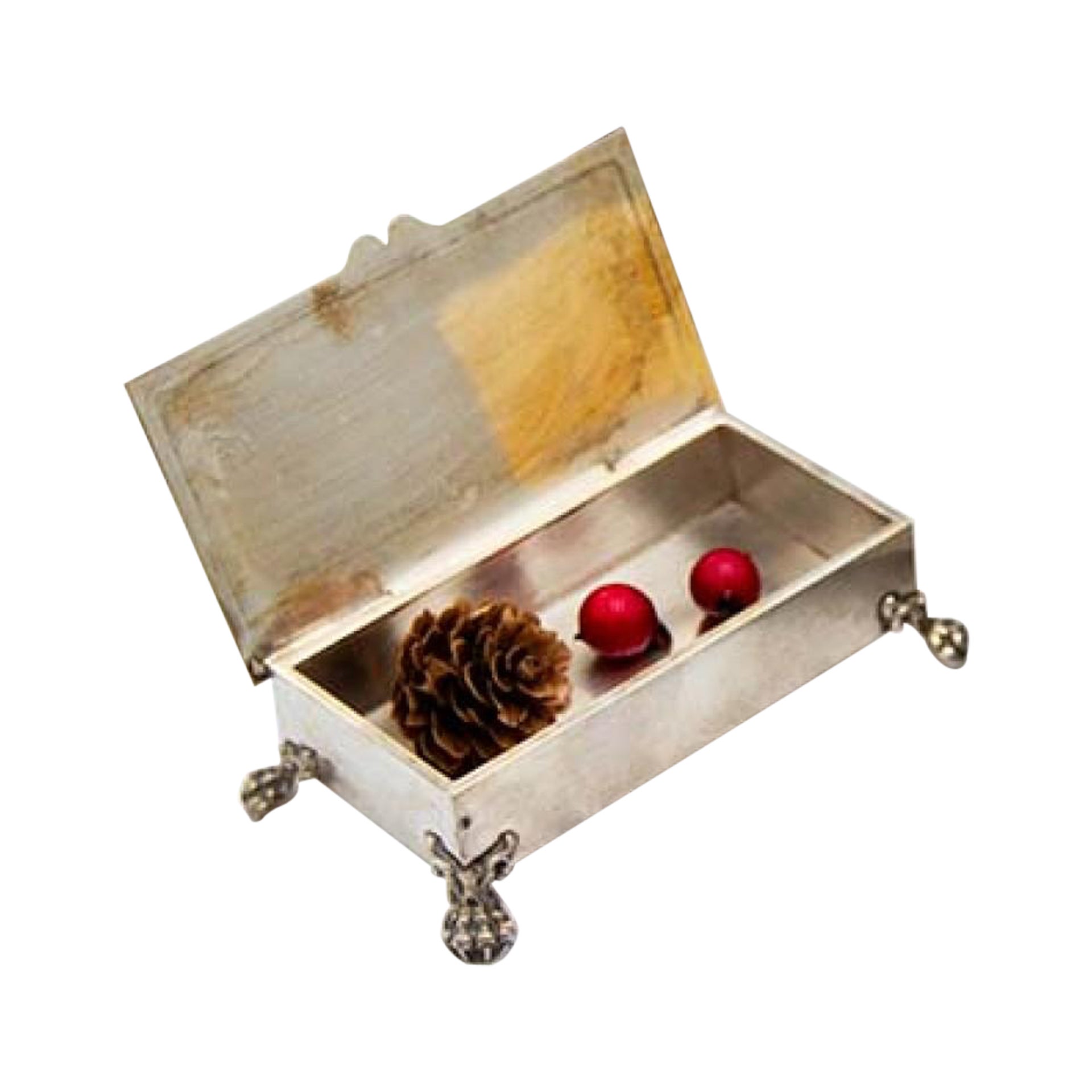 Silver box with engraved borders, hinged lid and clawed feet