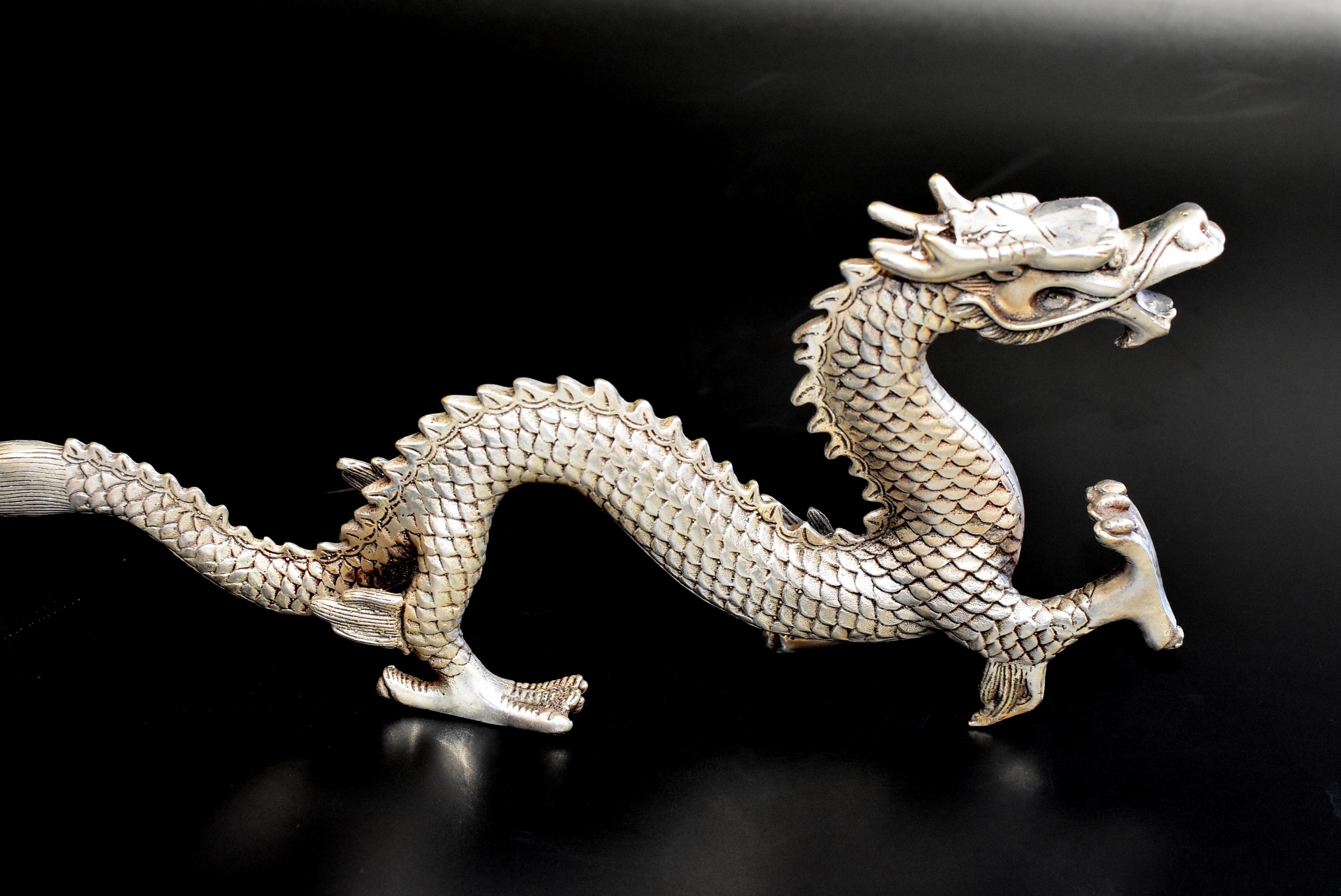 Silver Bronze Dragon 4