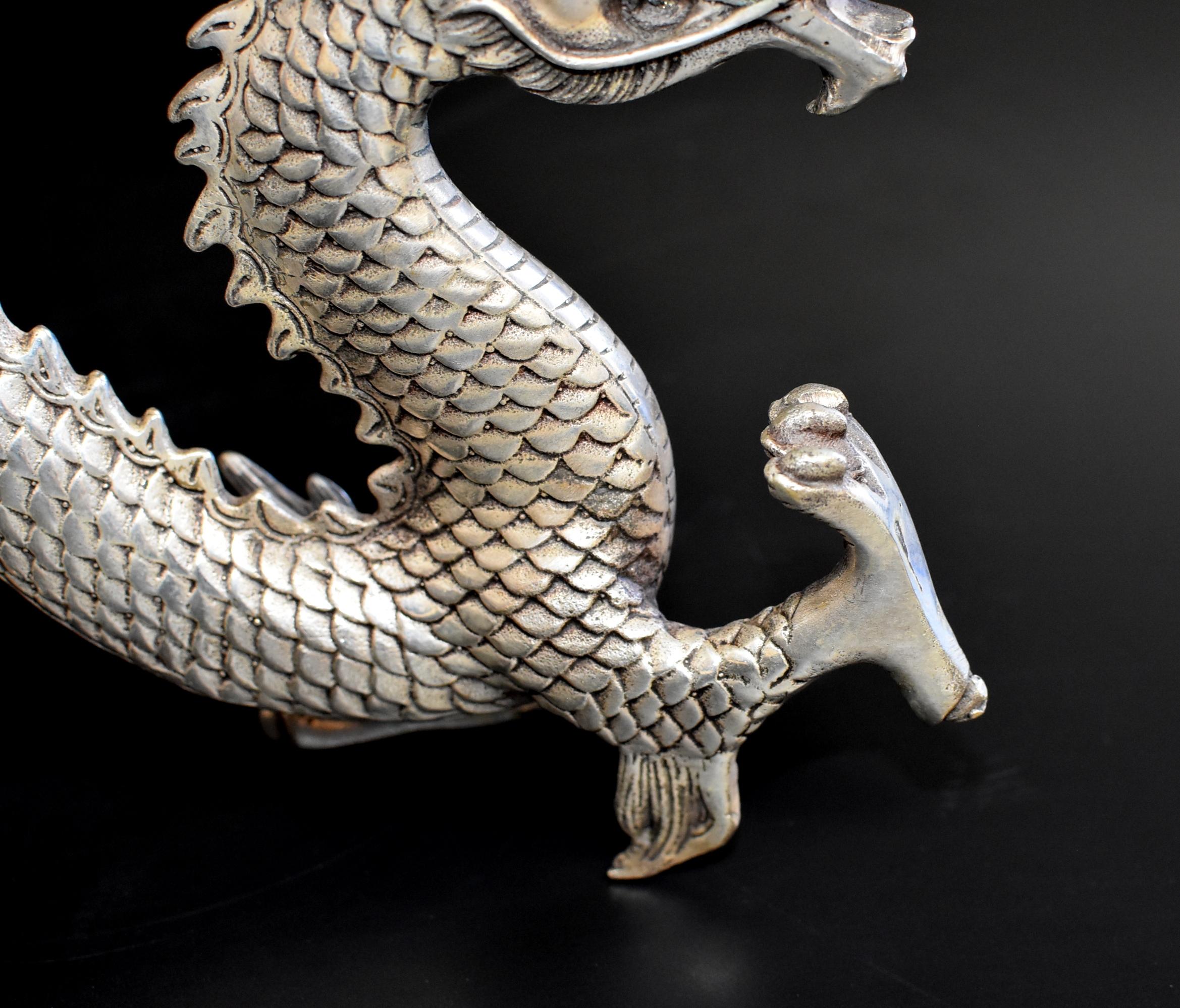 Silver Bronze Dragon 5