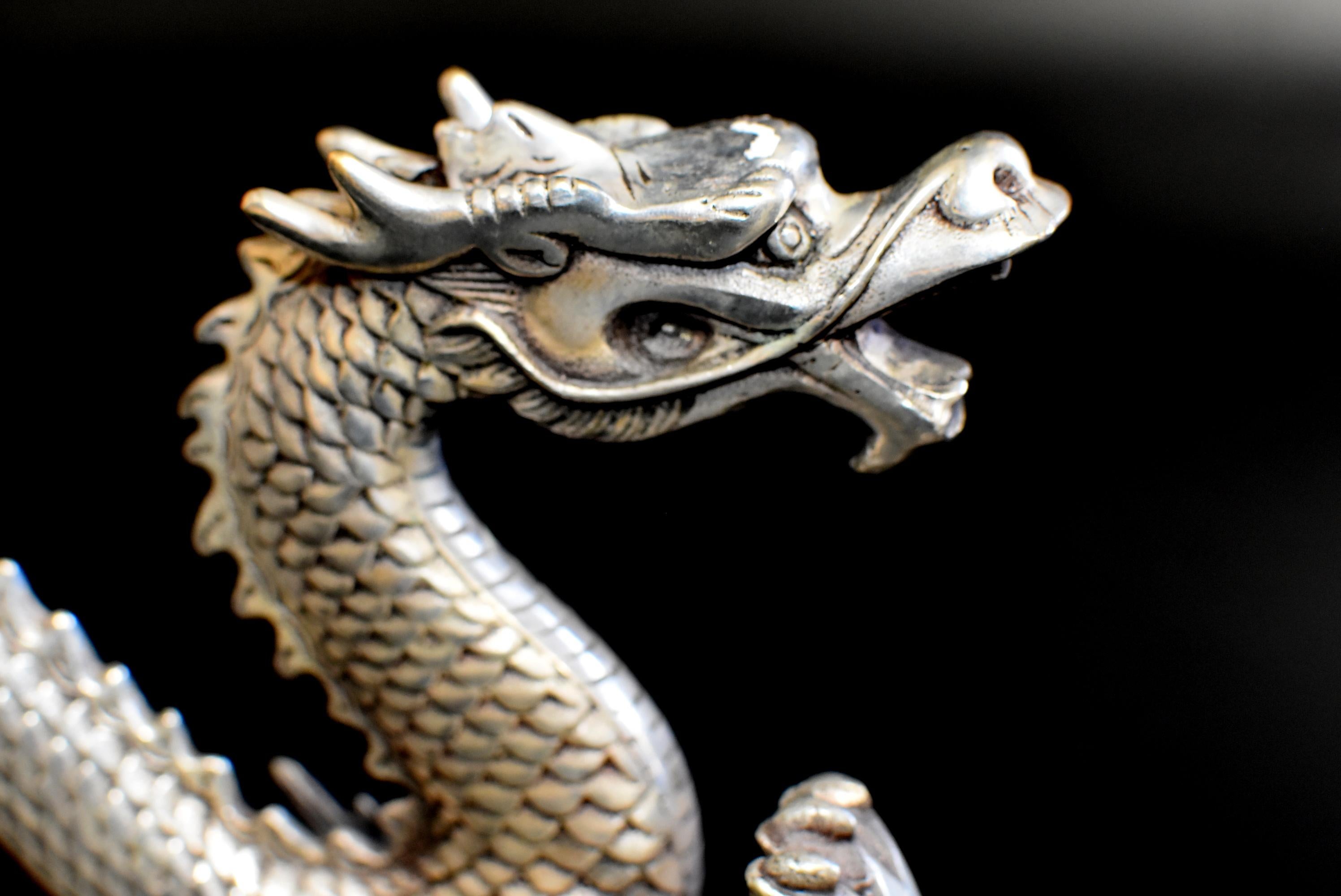 Silver Bronze Dragon 8