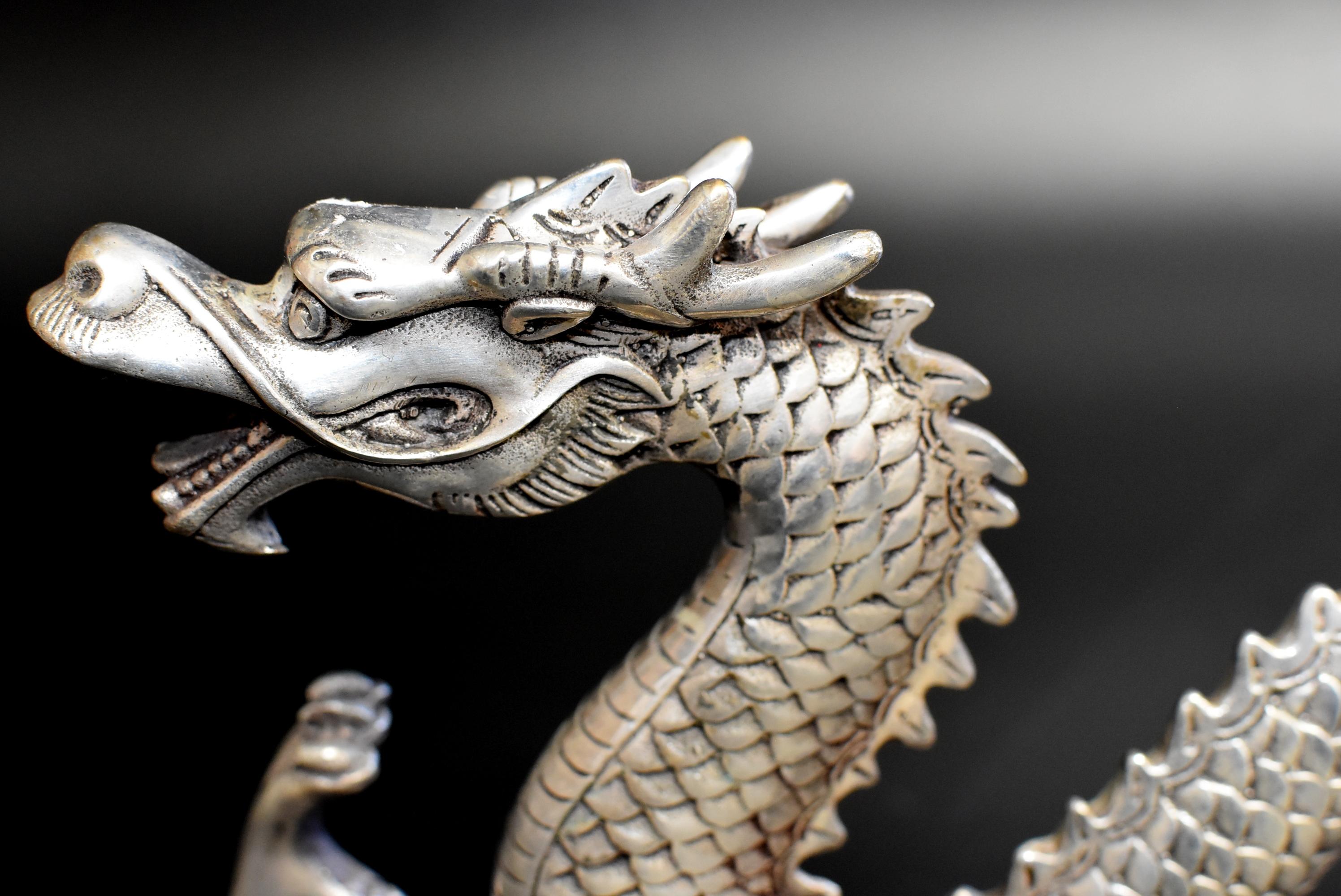 Silver Bronze Dragon 1