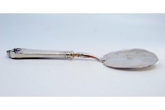Silver cake serving spatula