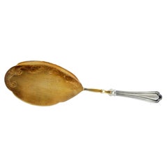 Silver cake serving spatula