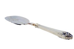 Silver cake serving spatula