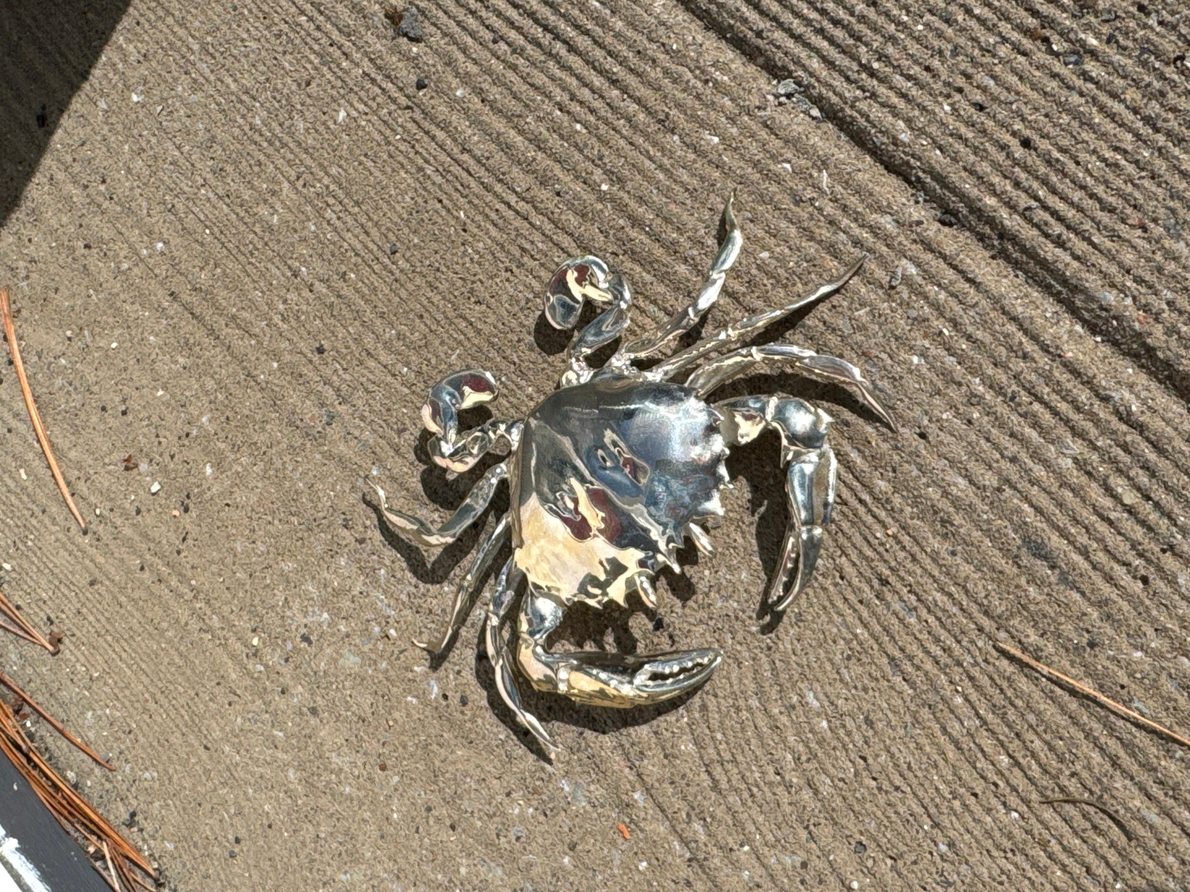 This solid Silver calico crab was cast from an original crab. I found on the beach on Fire Island in 2023. The details are absolutely exquisite. You will not find anything like this anywhere else as it is a one-of-a-kind piece cast from a sea