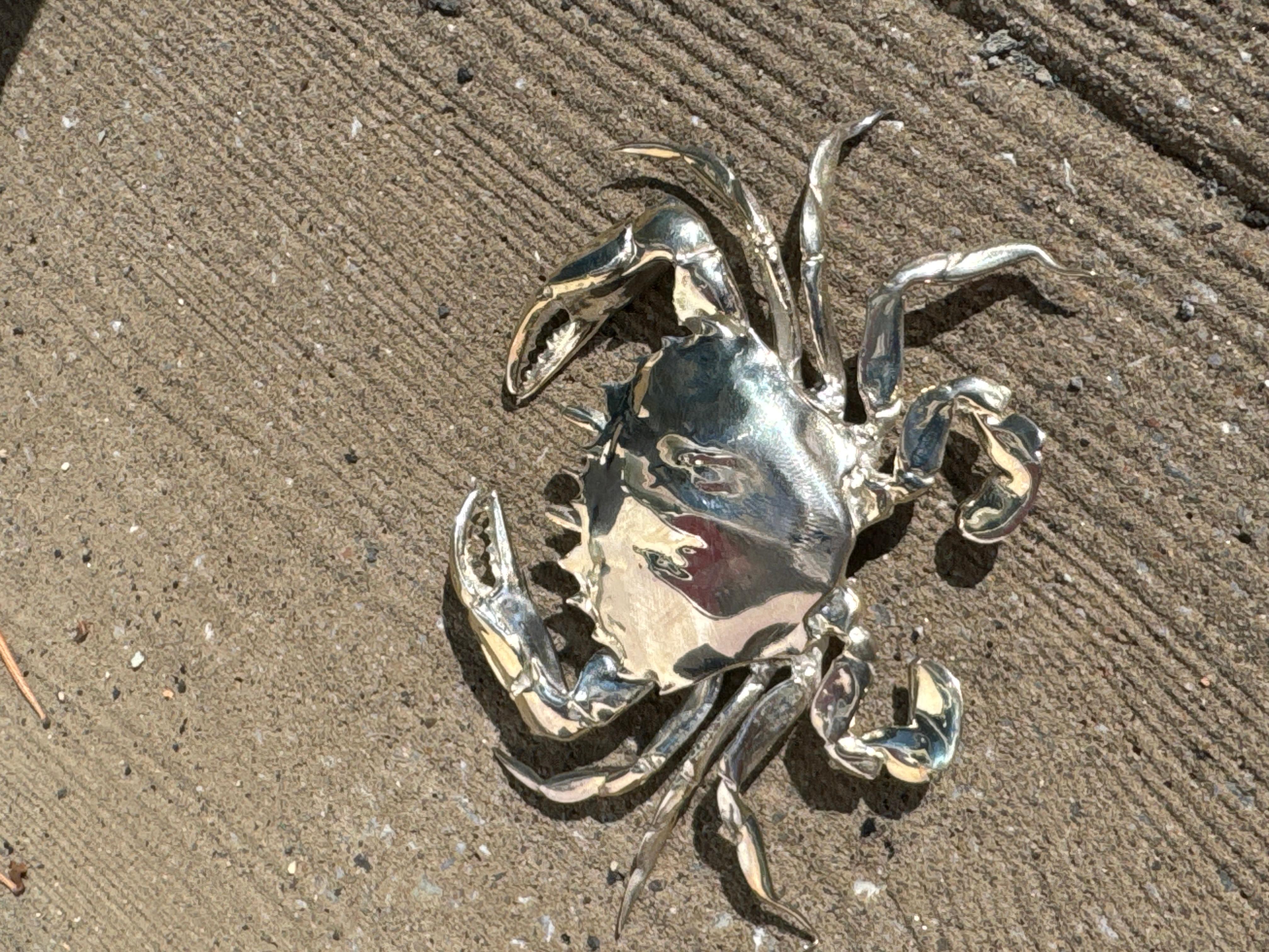 Silver Calico Crab In New Condition For Sale In Etna, NH