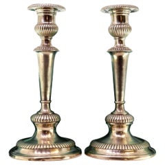 Silver candlesticks with fluted reliefs on circular bases