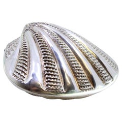 Silver clam-shaped shell with reliefs and double hinged lid