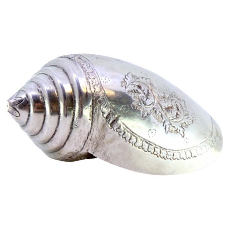 Silver cowrie shell with engraved floral motifs