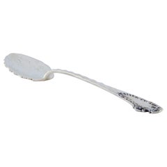 Silver dessert serving spatula