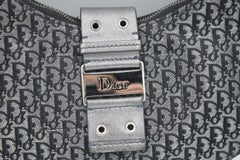 Silver Dior Bag in Monogram canvas and silver Leather.