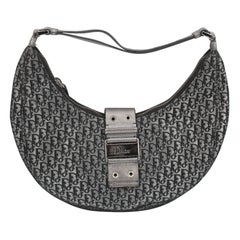 Silver Dior Bag in Monogram canvas and silver Leather.