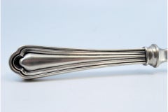Silver fish knife