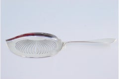 Silver fish serving spatula