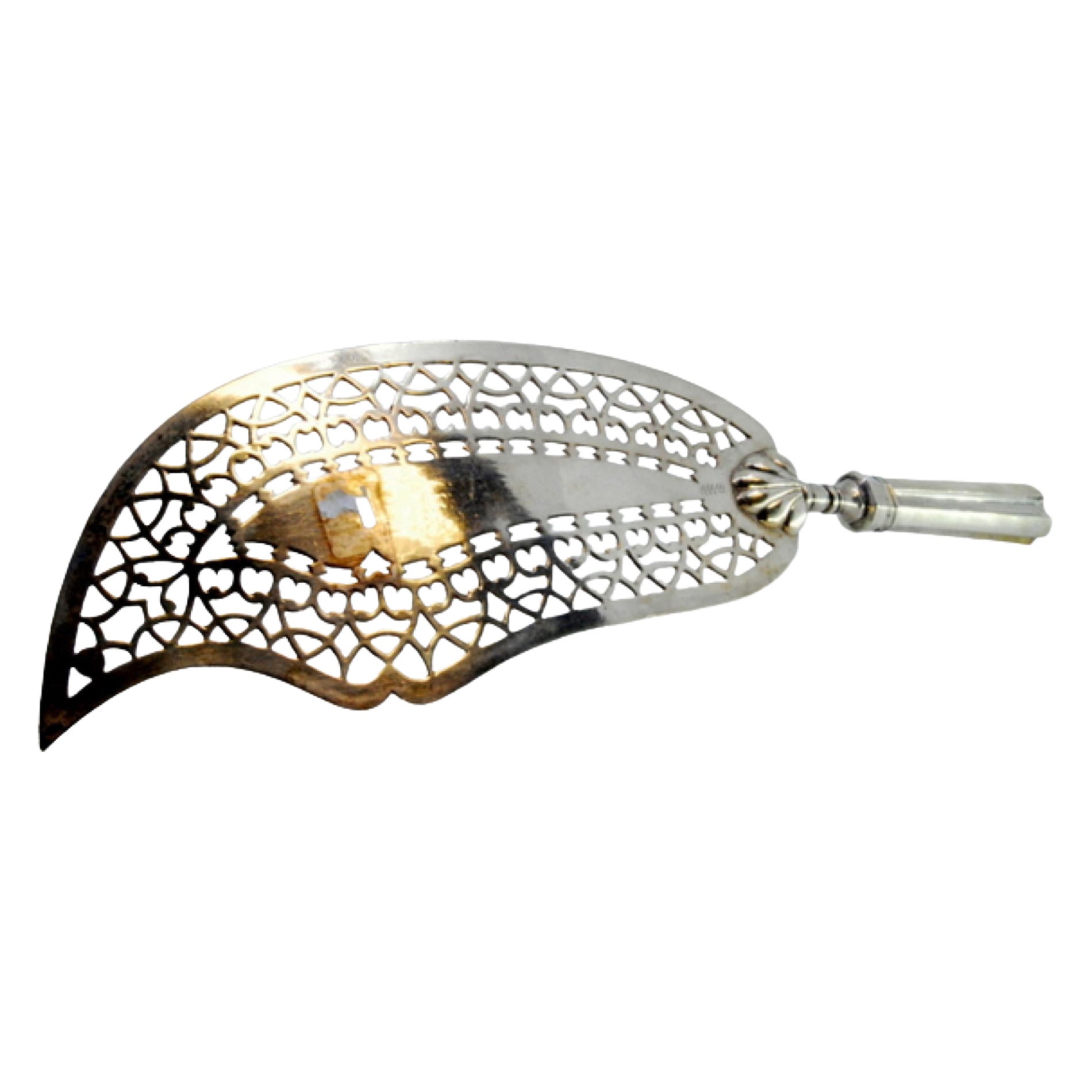 Silver fish serving spatula