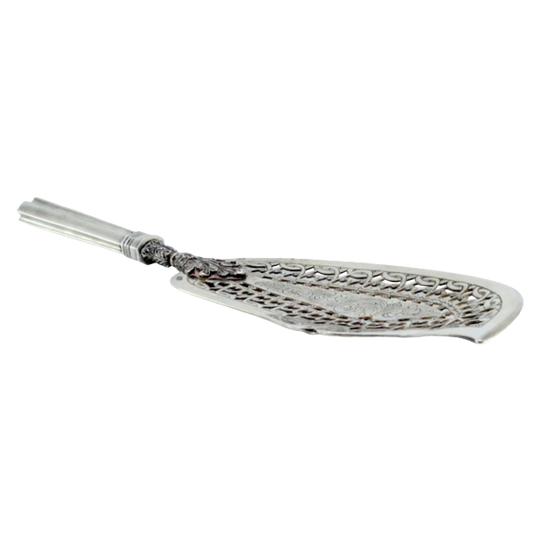 Silver fish serving spatula