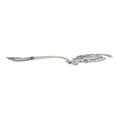 Silver fish serving spatula