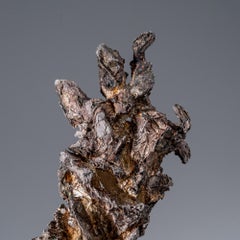 Argento dalla miniera di Calumet-Hecla, Contea di Houghton, Michigan