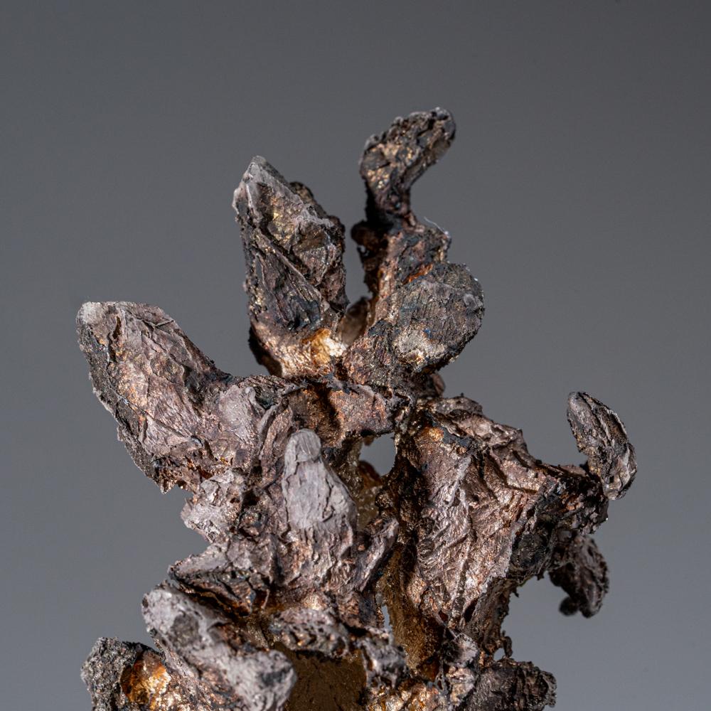 Silber aus der Calumet-Hecla-Mine, Houghton County, Michigan (21. Jahrhundert und zeitgenössisch) im Angebot