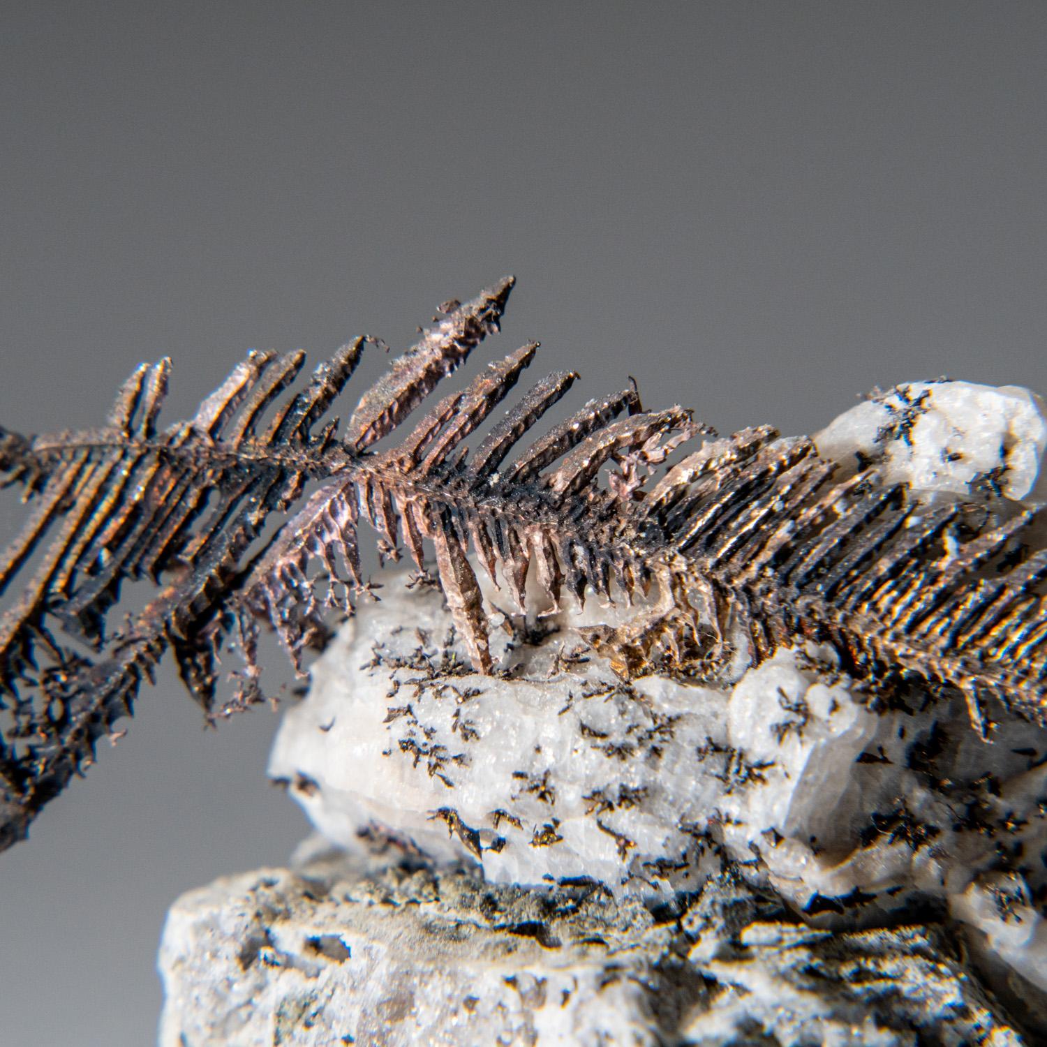 From Xiaoqinggou, Datong, Shanxi, China

This beautiful Silver from the New Nevada Mine Batopilas Chihuahua Mexico is a one-of-a-kind specimen. Its sculptural formation features twisted wire-crystals of native silver, making it an eye-catching