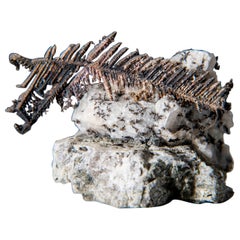 Silver  from New Nevada Mine Batopilas Chihuahua Mexico