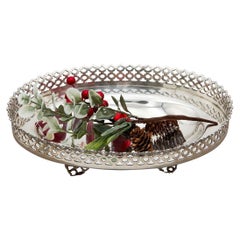 Silver fruit bowl with elliptical rack